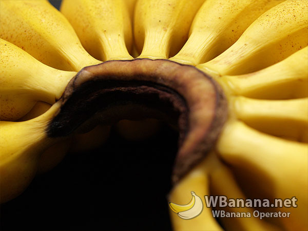 banana_08_600.jpg
